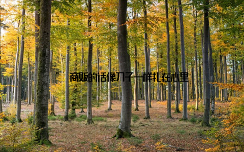 ” 商贩的话像刀子一样扎在心里