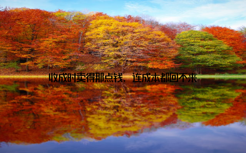 收成时卖得那点钱, 连成本都回不来