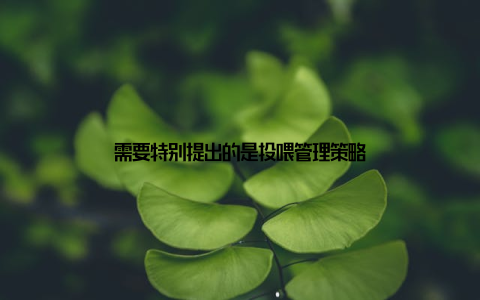 需要特别提出的是投喂管理策略