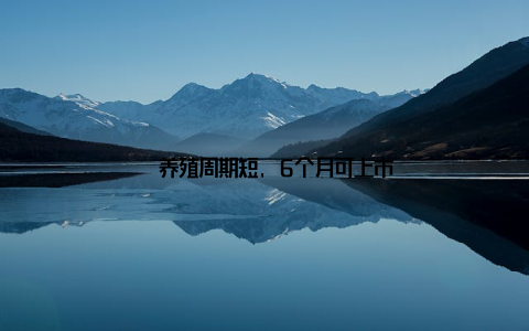 – 养殖周期短, 6个月可上市