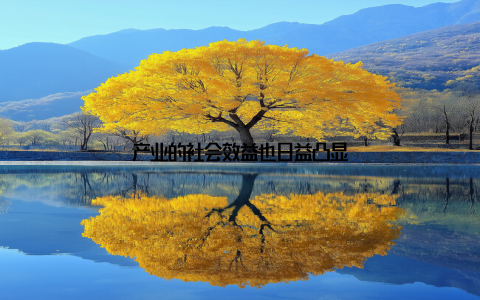 产业的社会效益也日益凸显