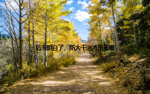 后来明白了, 防大于治才是王道