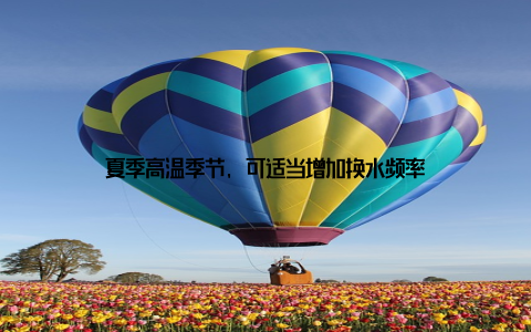 夏季高温季节, 可适当增加换水频率
