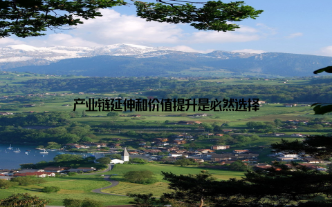 产业链延伸和价值提升是必然选择
