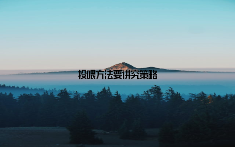 投喂方法要讲究策略