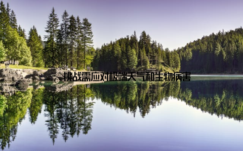 – 挑战需应对极端天气和生物病害