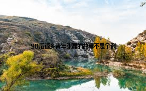 90后返乡青年张磊的故事不是个例