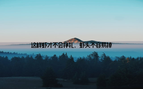 这样虾才不会挣扎, 虾头不容易掉