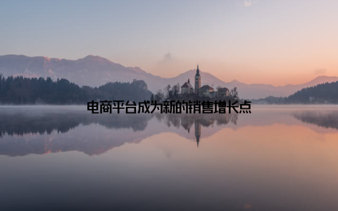 电商平台成为新的销售增长点