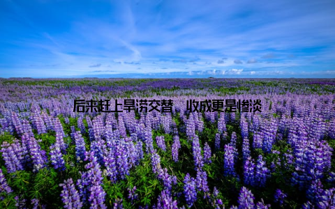 后来赶上旱涝交替, 收成更是惨淡