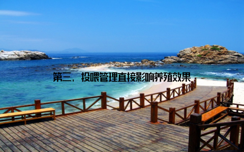 第三, 投喂管理直接影响养殖效果