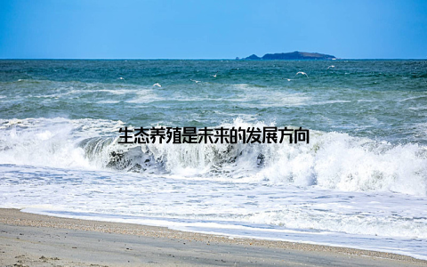 生态养殖是未来的发展方向