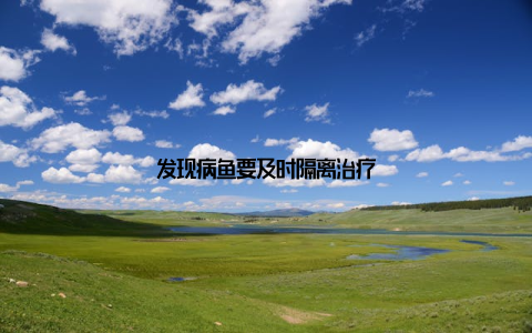 发现病鱼要及时隔离治疗