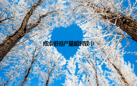 成本低但产量相对较小