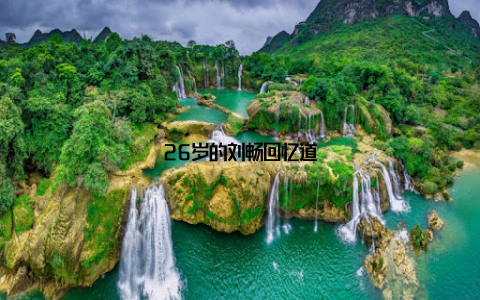 26岁的刘畅回忆道