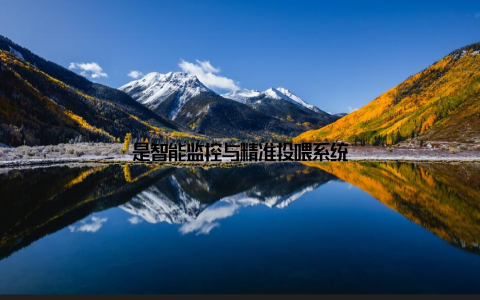 是智能监控与精准投喂系统