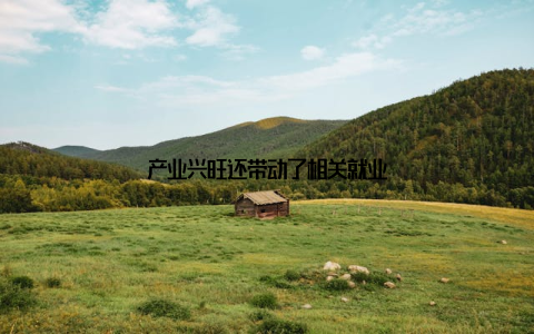 产业兴旺还带动了相关就业