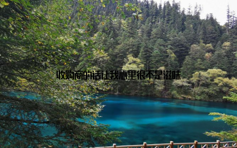 收购商的话让我心里很不是滋味