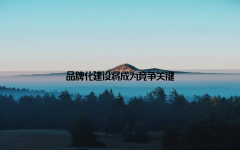 品牌化建设将成为竞争关键