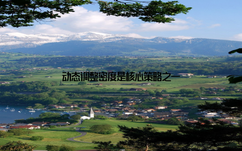 动态调整密度是核心策略之一