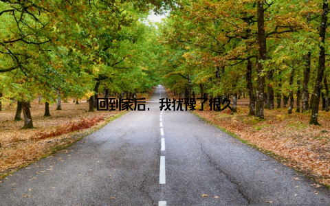 回到家后, 我犹豫了很久