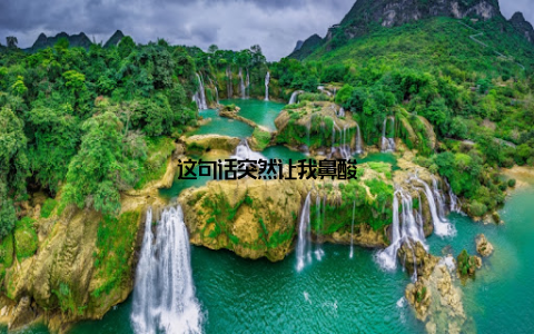 这句话突然让我鼻酸