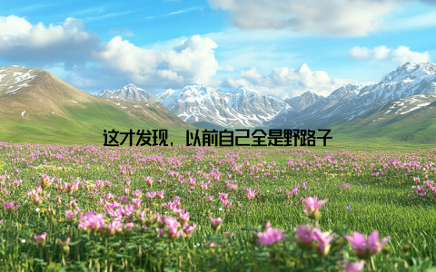 这才发现, 以前自己全是野路子