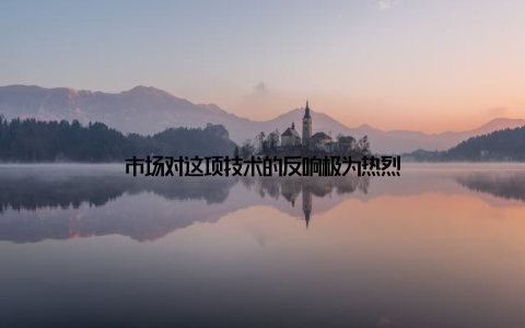 市场对这项技术的反响极为热烈