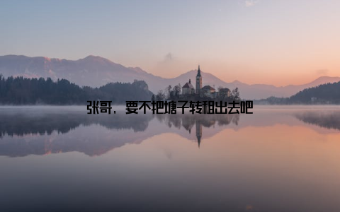 张哥, 要不把塘子转租出去吧