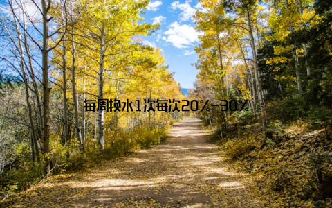 每周换水1次每次20%-30%