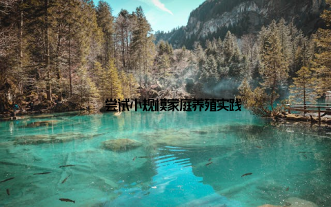 – 尝试小规模家庭养殖实践