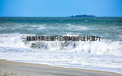 一味保持高密度只会限制鱼的生长潜力