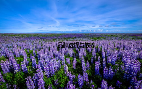 二、品种选择与放养