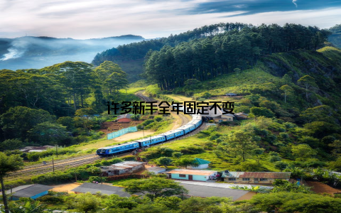 许多新手全年固定不变