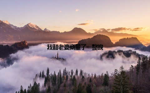 我和老婆商量了一整晚