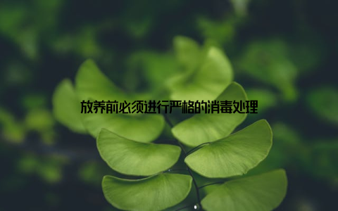 放养前必须进行严格的消毒处理