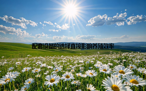 配套设备的选择直接影响养殖效率