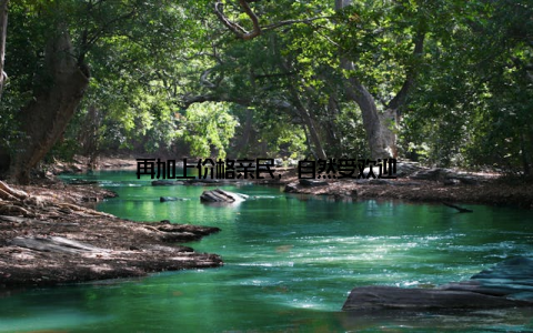 再加上价格亲民, 自然受欢迎