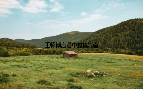 王师傅言语中难掩兴奋