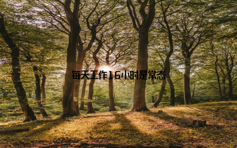 每天工作16小时是常态