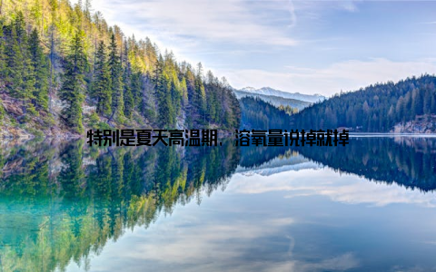 特别是夏天高温期, 溶氧量说掉就掉