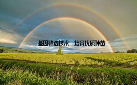 – 基因筛选技术, 培育优质种苗