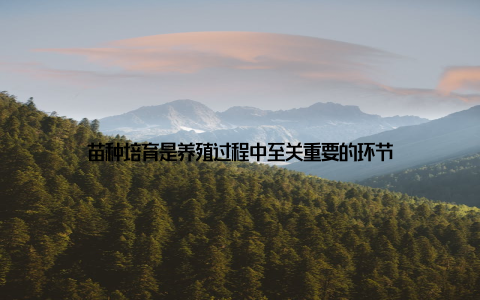 苗种培育是养殖过程中至关重要的环节