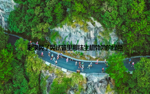 老李晃了晃试管里那抹生机勃勃的绿色