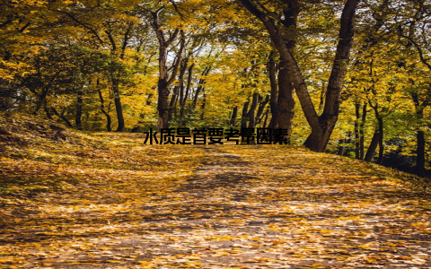 水质是首要考量因素