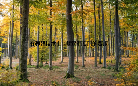 在养殖技术上, 鳜鱼有专门的要求