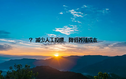 ? 减少人工投喂, 降低养殖成本