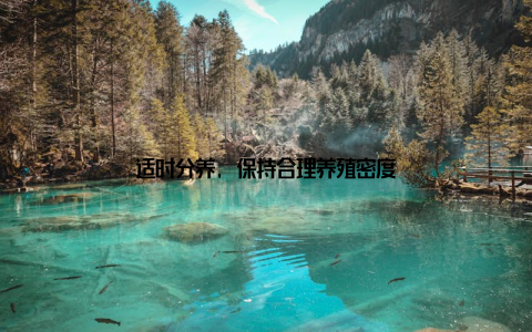 适时分养, 保持合理养殖密度