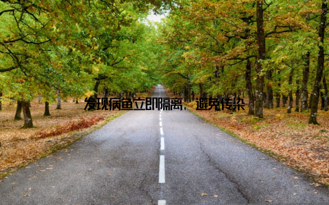 发现病鱼立即隔离, 避免传染