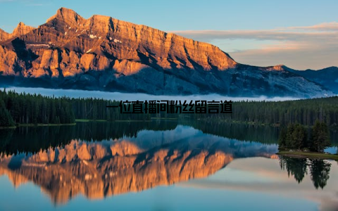 一位直播间粉丝留言道